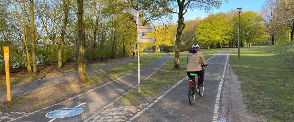 Radweg Rheinaue