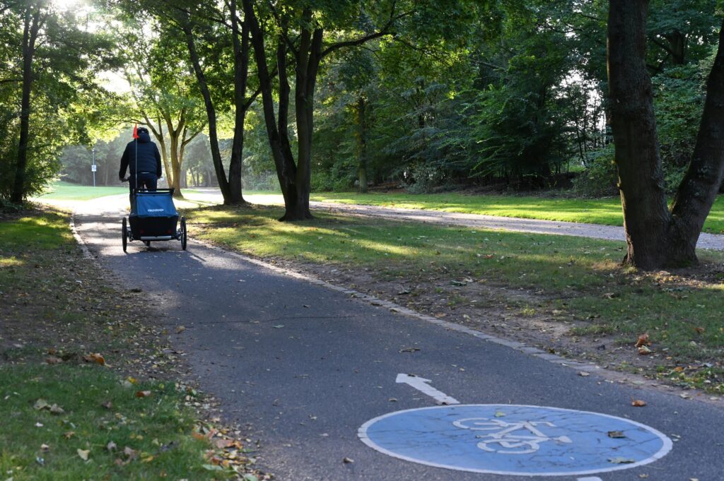 Ein Radfahrer mit Kinderanhänger auf dem Radweg in der Beueler Rheinaue.