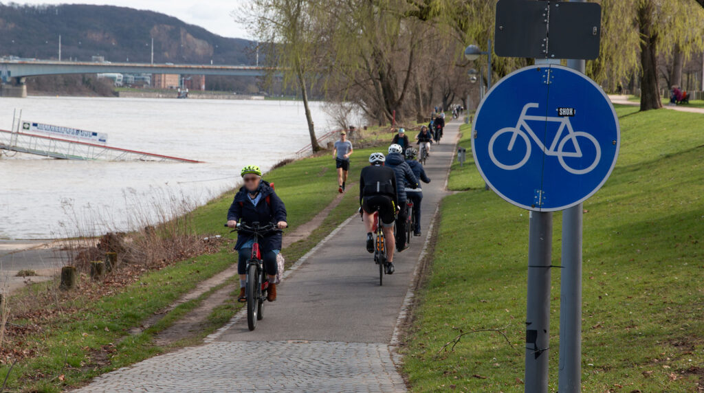 Viele Radfahrende auf dem schmalen Radweg in der Bonner Rheinaue