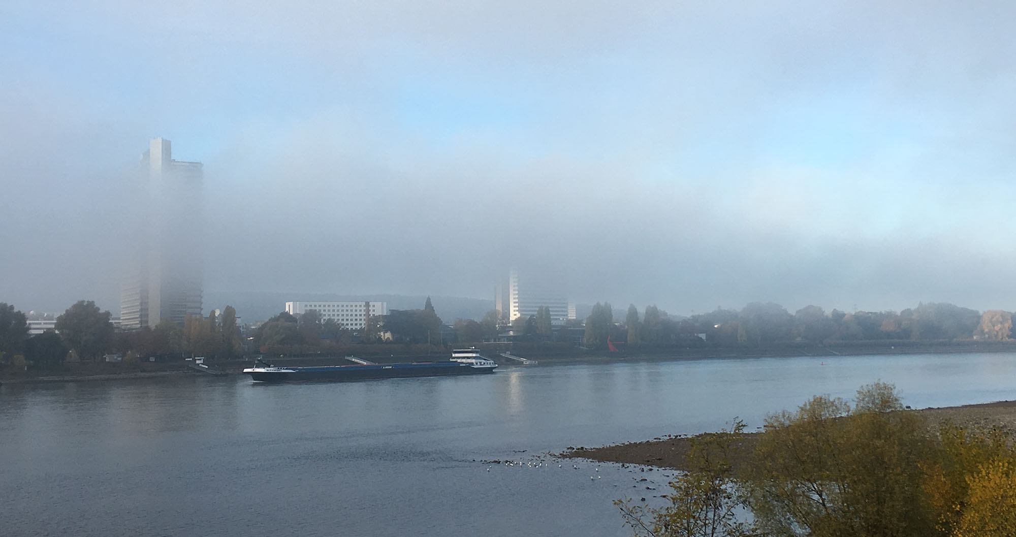 Rhein bei Bonn