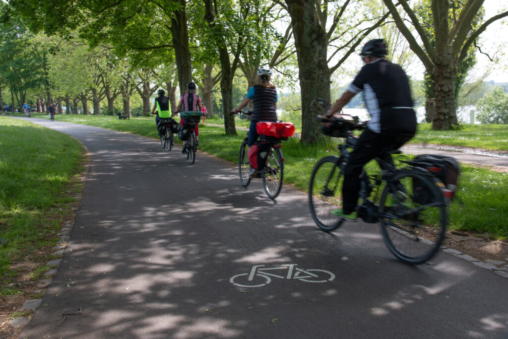 Radweg in der Bonner Rheinaue