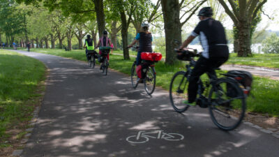 Radweg in der Bonner Rheinaue
